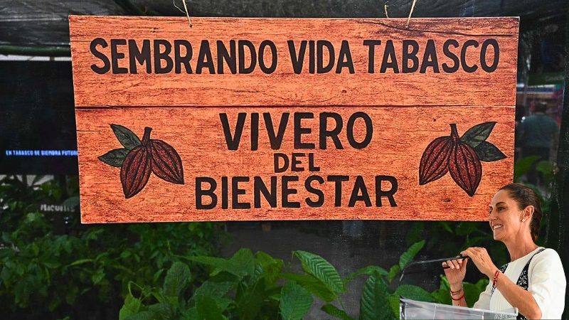 Sheinbaum anuncia en Tabasco una planta procesadora que fortalecerá la economía local, protegerá al productor y promoverá la Ruta del Chocolate.