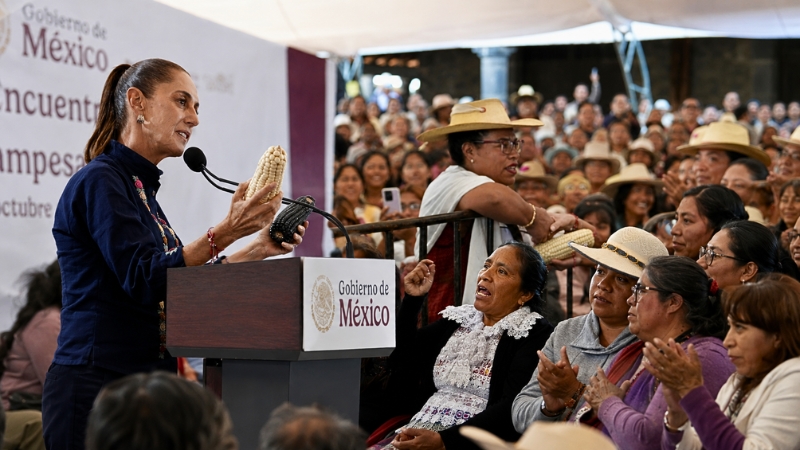 Claudia Sheinbaum impulsa “El maíz es la raíz”: apoyo campesino con maquinaria, semillas nativas y transformación comunitaria como el caso comaleras
