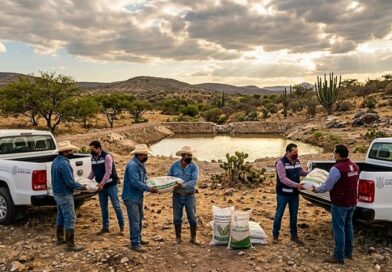 Autoridades locales impulsan apoyos de semilla y obras de infraestructura hídrica para mitigar el impacto de las lluvias en zonas vulnerables del semidesierto queretano.